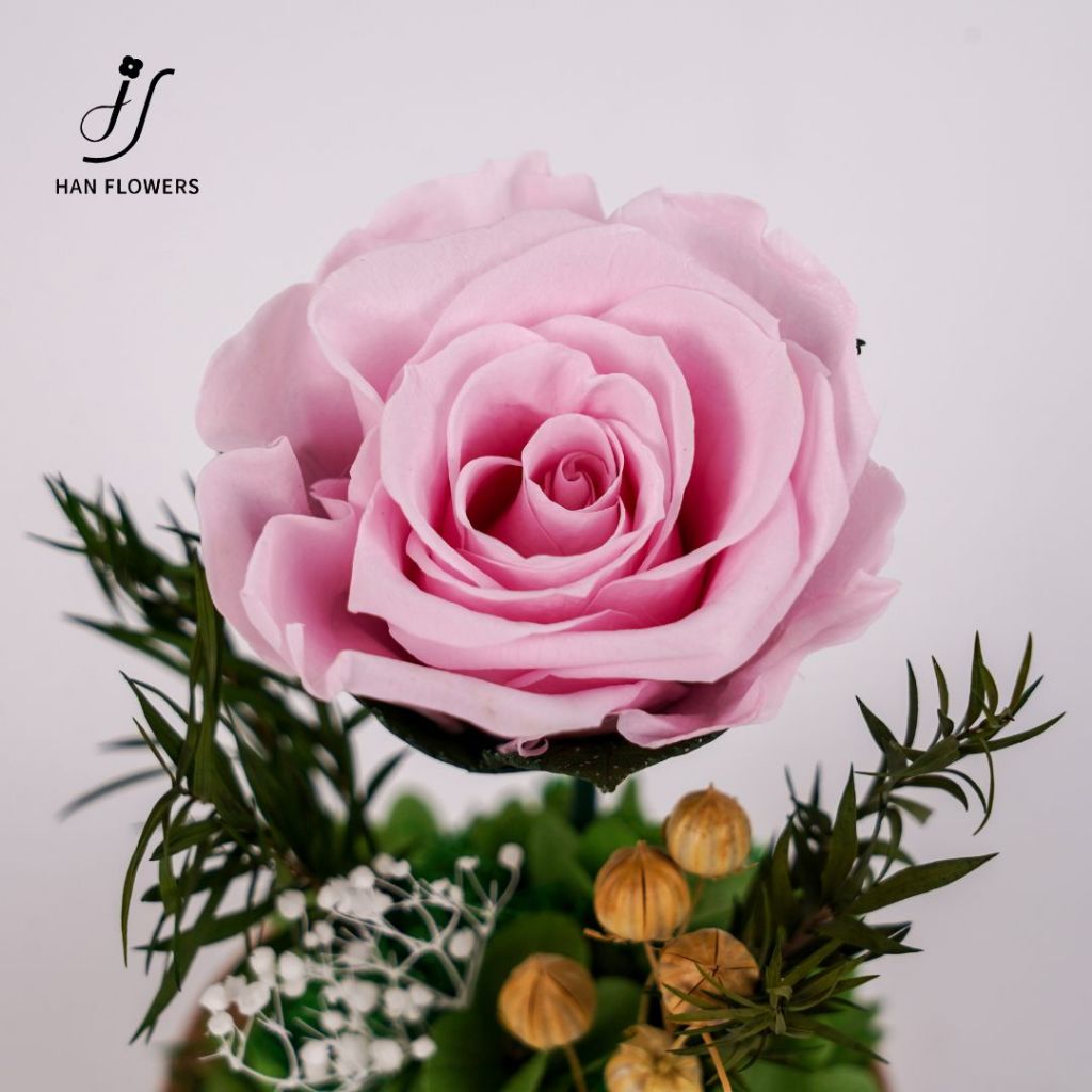 Mini Single Preserved Roses