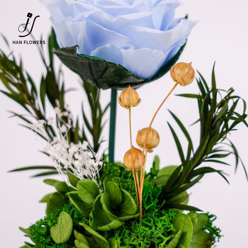 Mini Single Preserved Roses