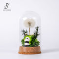 Preserved Flower Mini Panda Dome