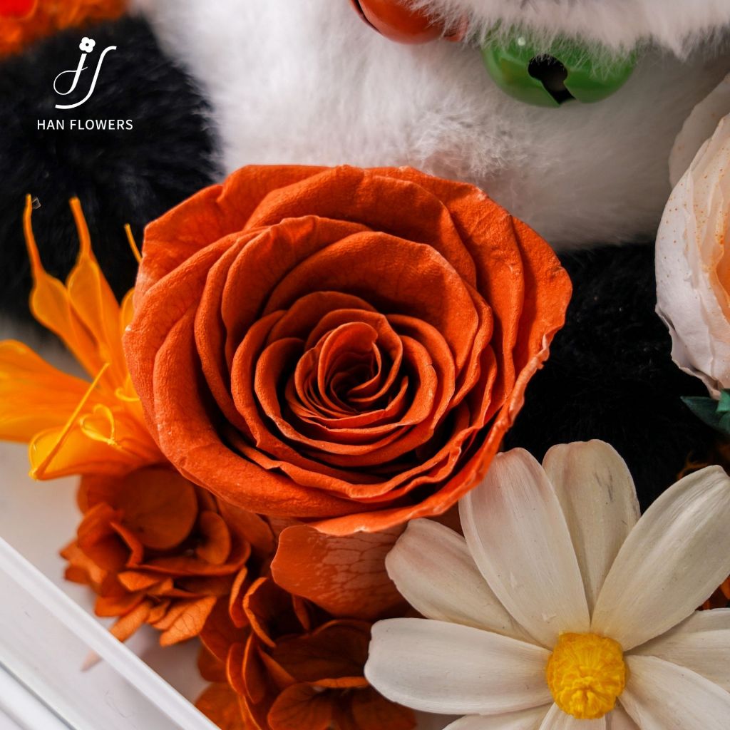 Cute Fluffy Panda DunDun (Orange)