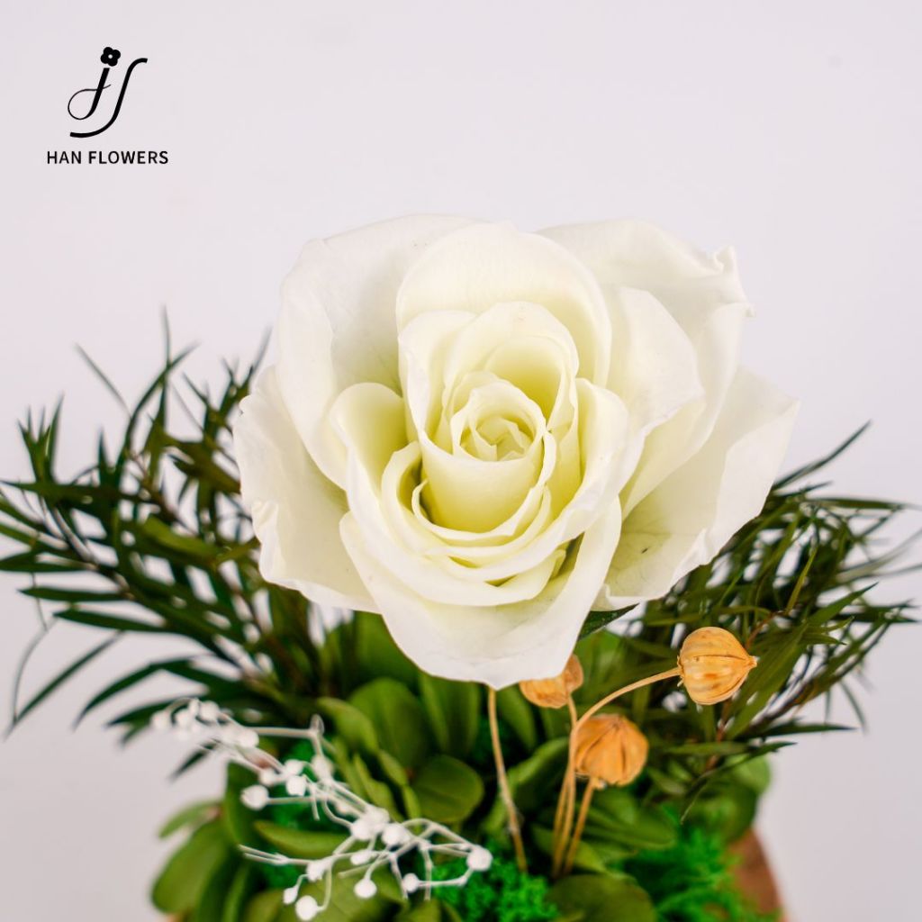 Mini Single Preserved Roses