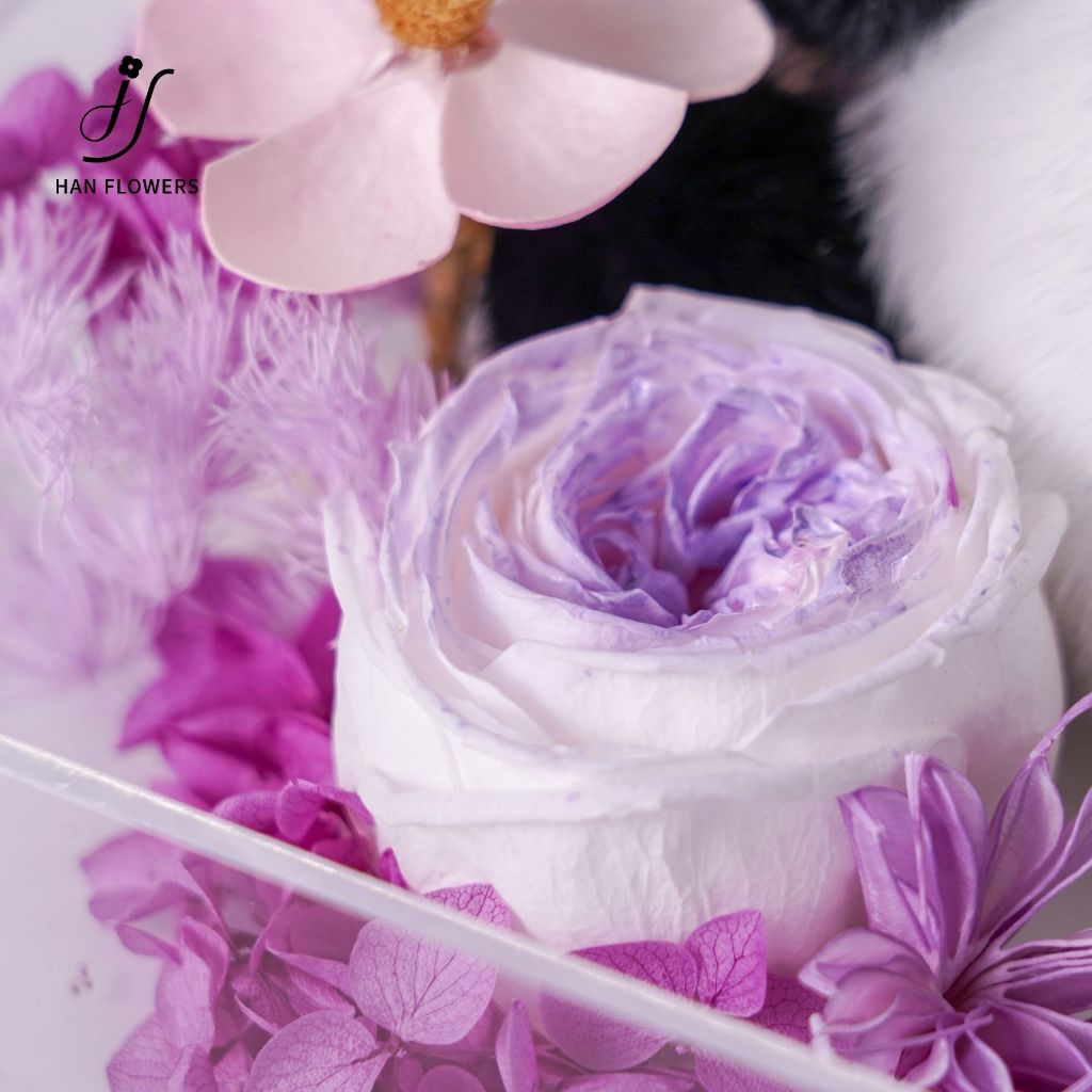 Cute Fluffy Panda DunDun (Purple)