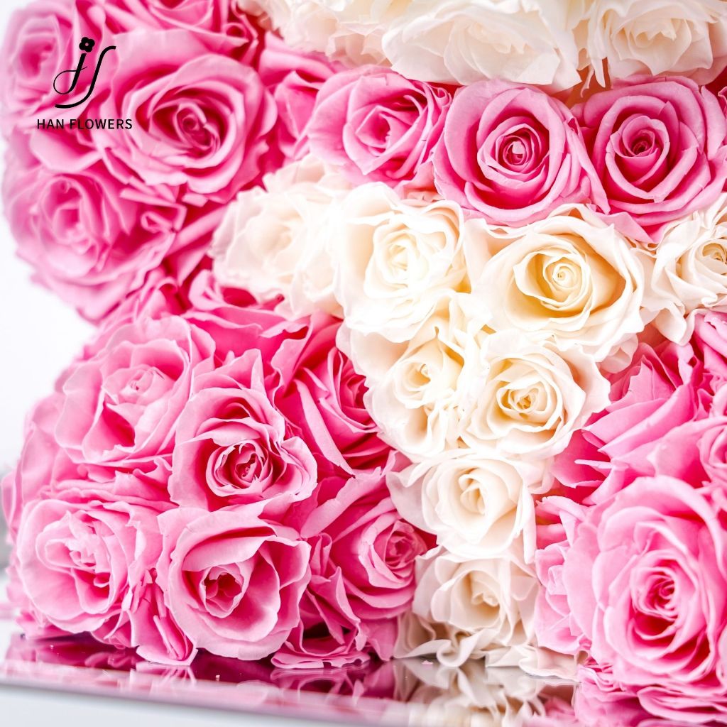 Preserved Roses Panda (Pink)