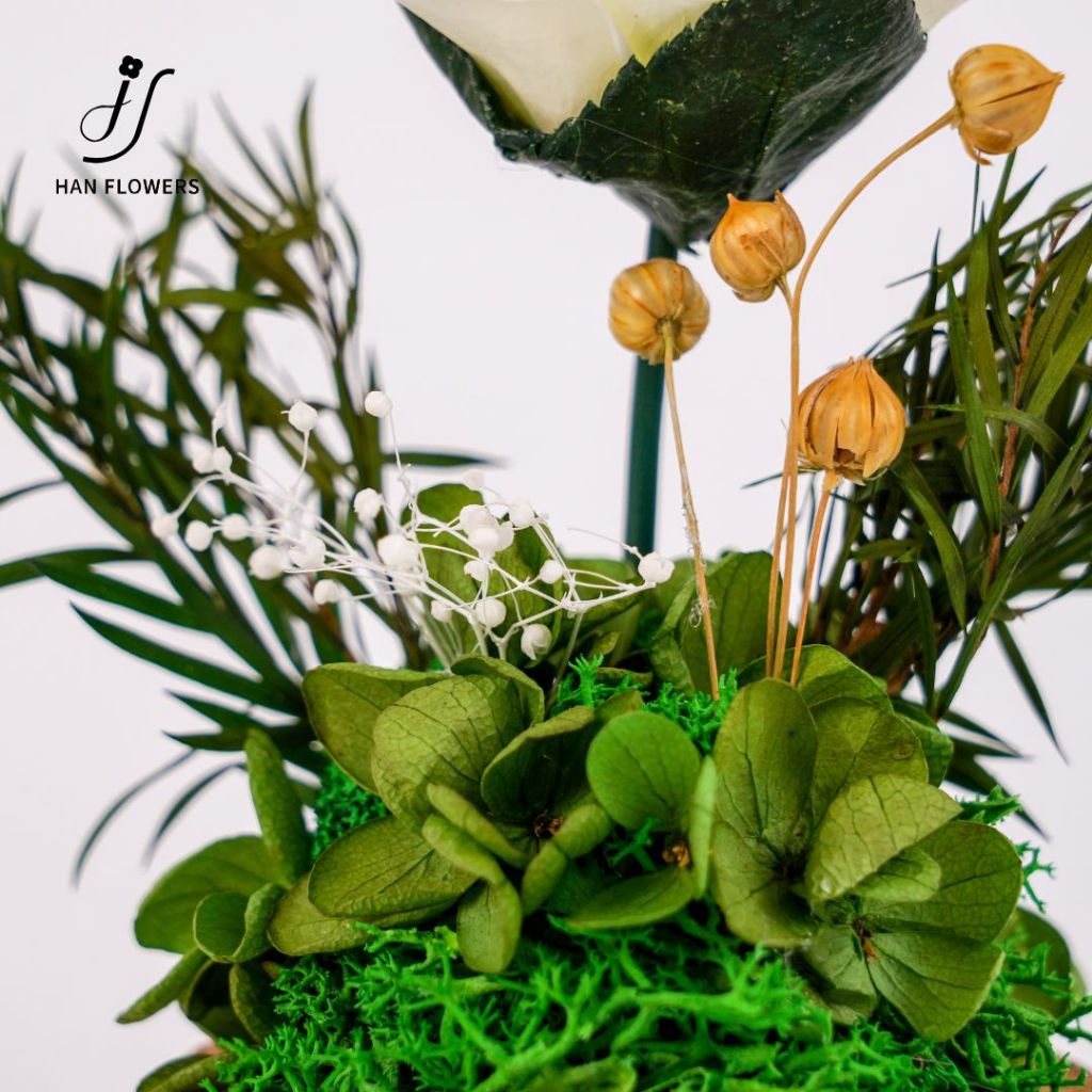 Mini Single Preserved Roses