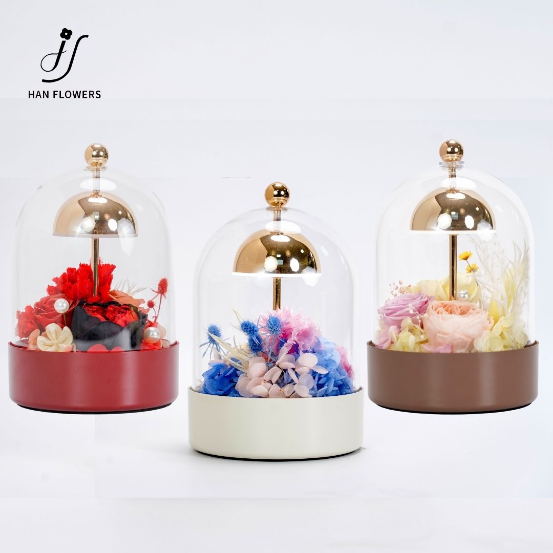 Preserved Flower with LED Light